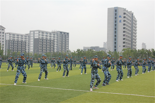 5.jpg 5.jpg