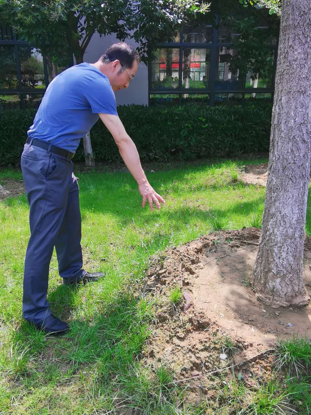 3.jpg 3.jpg