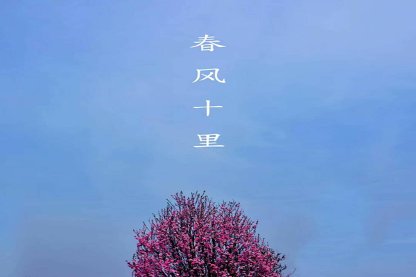 2_副本.png 2_副本.png