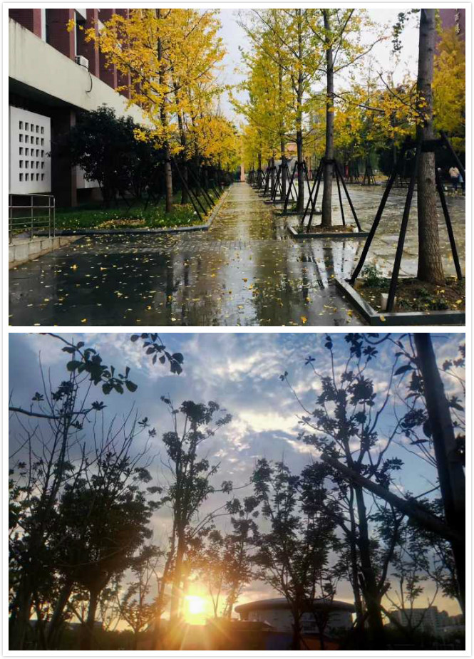 未命名_meitu_0.jpg 未命名_meitu_0.jpg