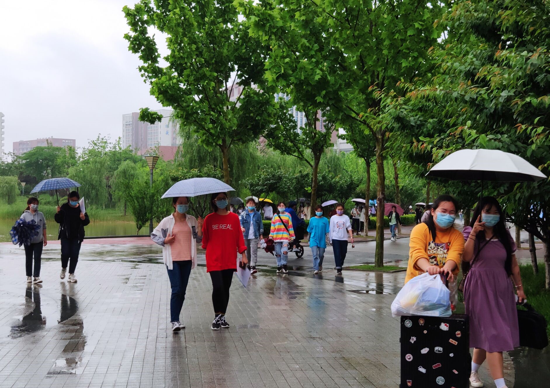 QQ图片20200514163348.jpg QQ图片20200514163348.jpg